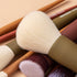 EIGSHOW Beauty Face 5-COLOR SERIES - 9 PCS MAKEUP BRUSH KIT WITH A POUCH